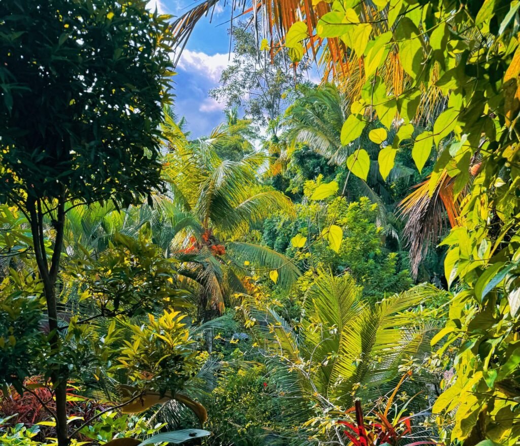 Le sens de notre existence